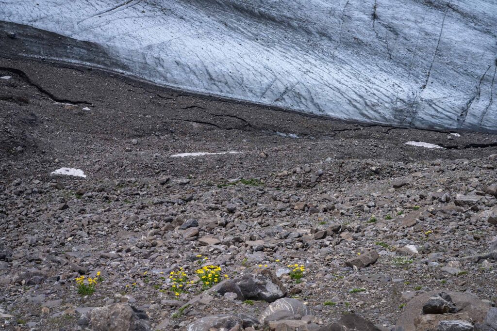 | Pauli Trenkwalder, Berge & Psychologie